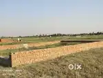 Free hold investment plots in Noida sector 148