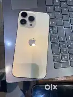 14 pro max