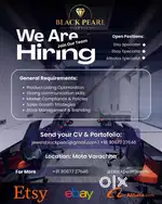 E-Commerce Executive
