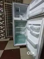 Lg double door