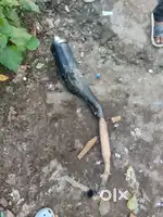 Bike silencer v4 brand new