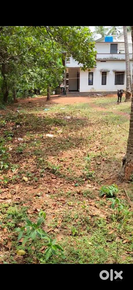 4.64 cent plot urgent sale ₹2.10/cent