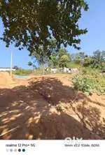 Bonda , Amortol near narengi
