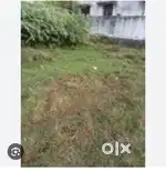 North 1625  plot with 25 ft front kailash nagar ,ekta chowk se100 mtr