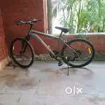 Bicycle by the brand Lifelong