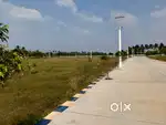 சுண்ணாம்புகராபட்டி,தோகைமலை  Road, Trichy,