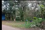 46 cent land for sale as whole or as plots