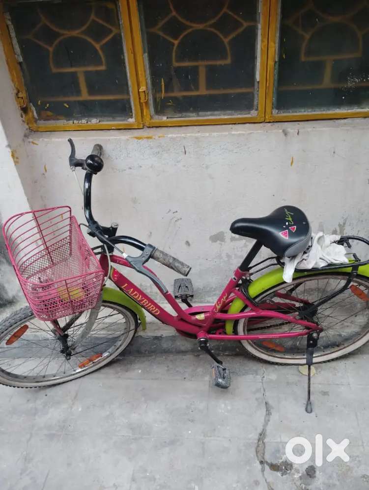 Ladybird 5-6 yrs age