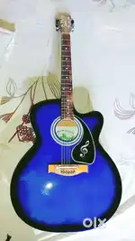 Guitar with capo + bag