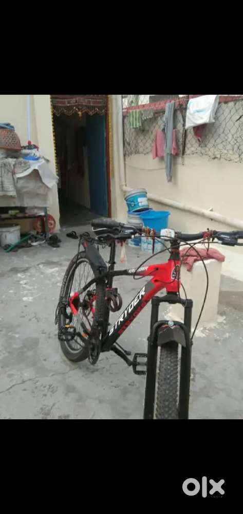 Best cycle forever