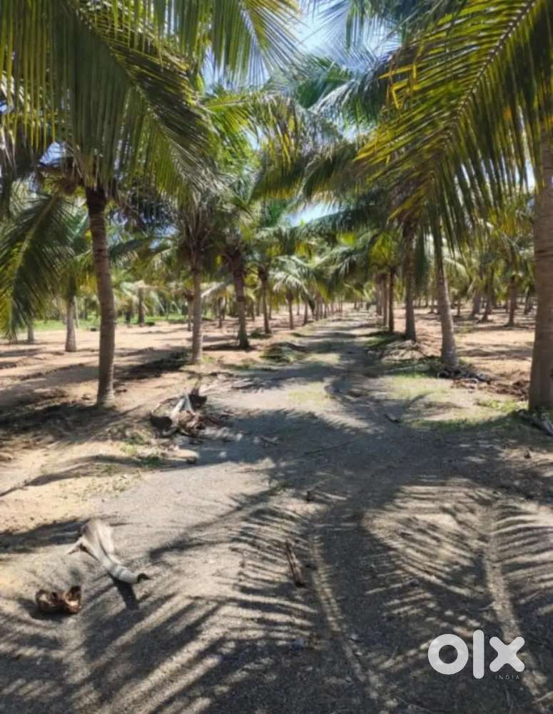Sea view DTCP/ Bank loan approved villa plots for sale
