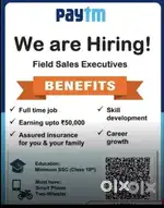 Sales marketing executive