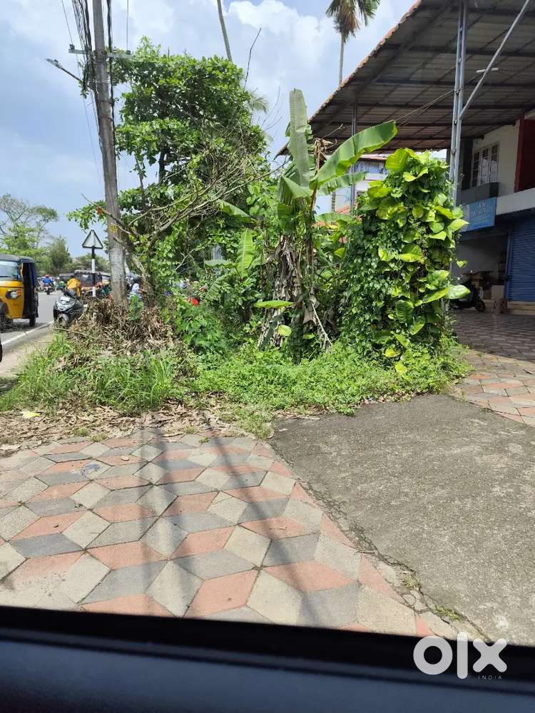 Camelot അടുത്ത് 7 സെന്റ്