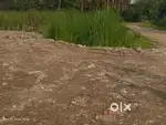 Land available on DH road Ambuja neotia university