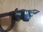 CANON 80 D ( 2017 Model) and CANON 100 - 400 IS II ( 2022 Model)
