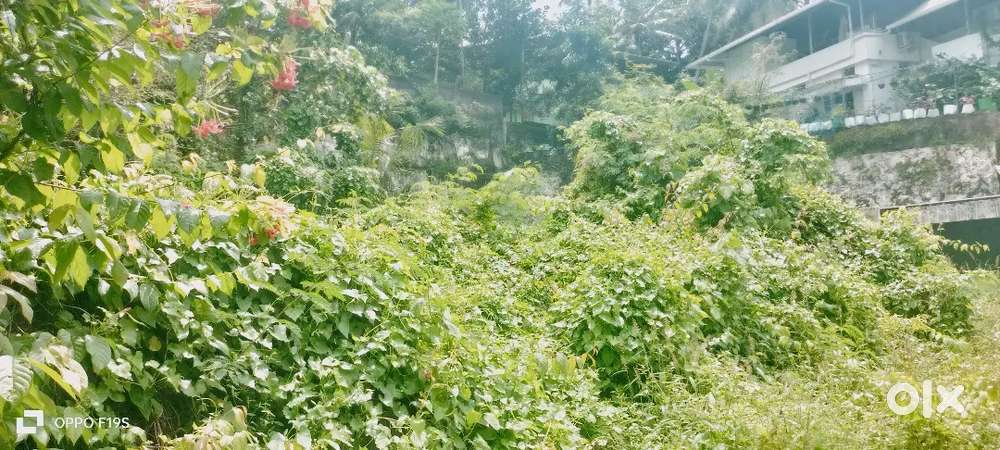 5 cent kara boomi for sale nalanchira near mc road trivandrum