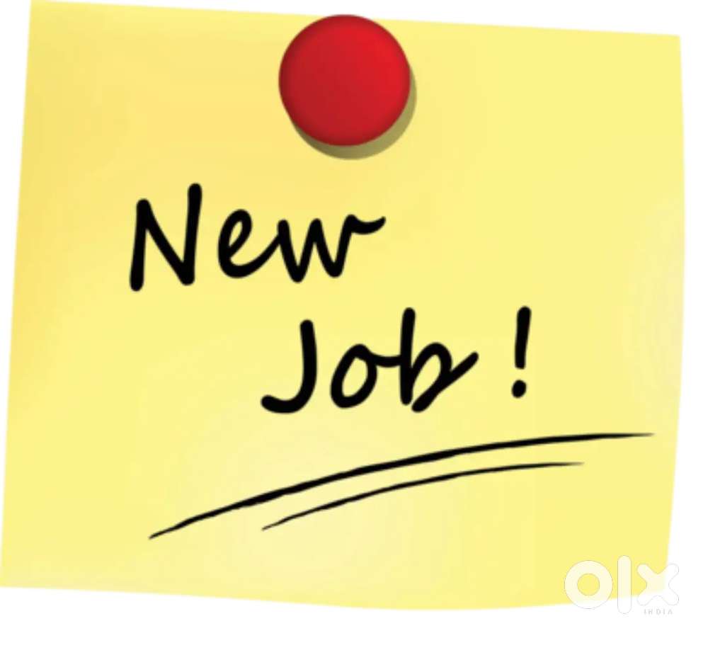 Fresher candidate apply now Bank Job