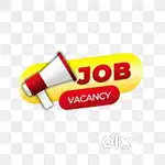 35 CANDIDATE HIRING JOBS FOR STUDENT