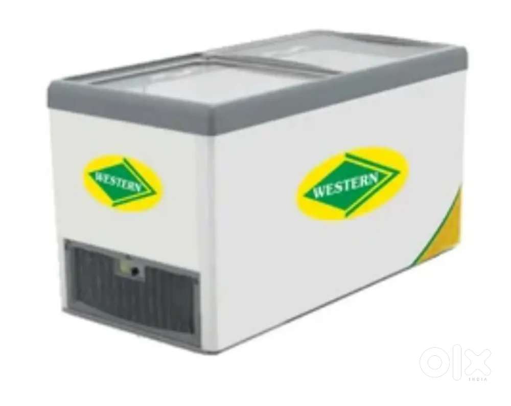 Western Deep Freezer 500L