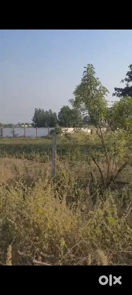 moinabad near mirza dhaba plots for sale