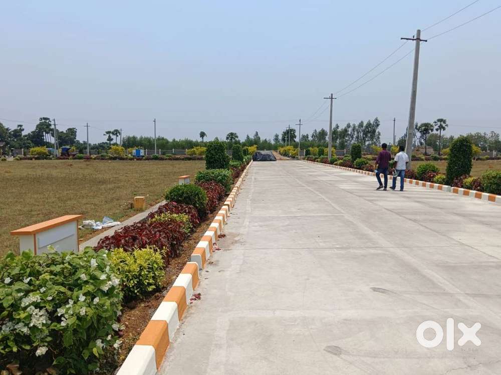 Residential Open Plots for Sale @ Gantlam,Bhogapuram