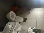 5 Years old