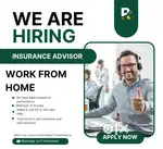 Work from home job