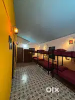 AC Luxury Bunk Bed in Hostel