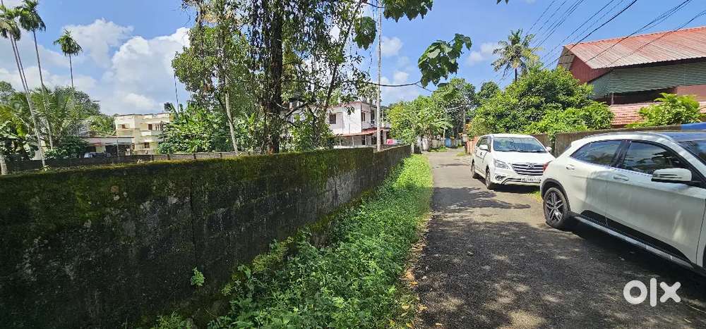 Plot for sale nearest kuttoor Thiruvalla