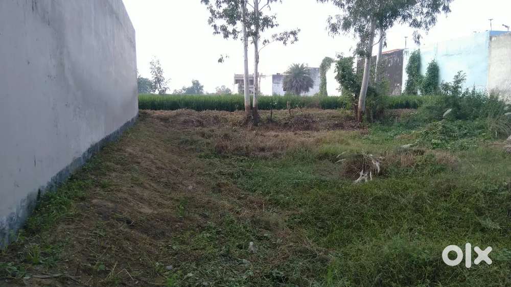 Plot in Dwarka Vihar Near Nagra Resort