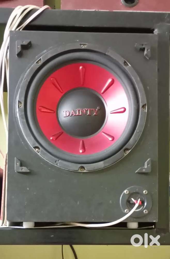 DAINTY 10 SUB WOOFER