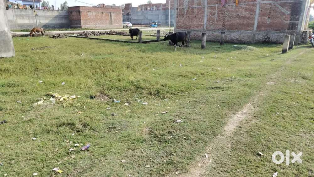 बलरामपुर   नगर पालिका के अंदर