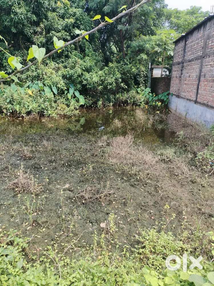 Sale for 11.2 Katha land in Sangrampur on Old Satkhira Road