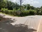 17 cent plot for sale. Kanichode Jn, Vamanapuram