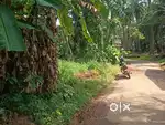 8.30cent House plot for sale with good road access