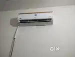 Pg for Boys (Employees)