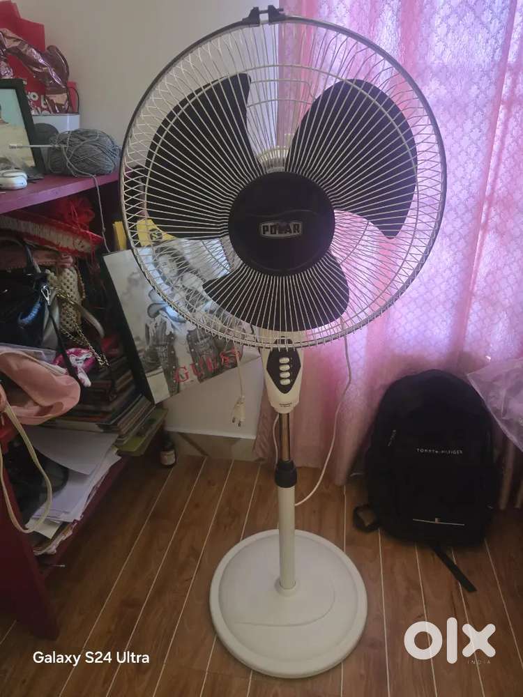 Polar Brand stand fan