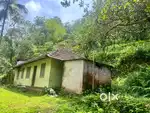 Wayanad Tavinjal panjayath 2 acre land with house selling