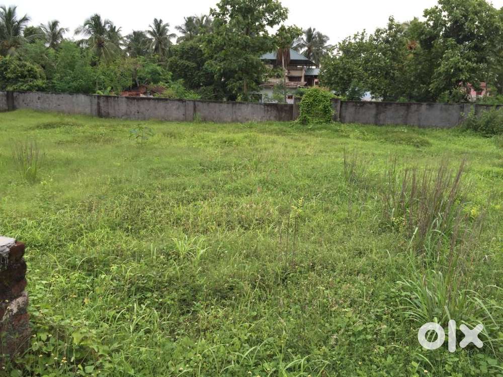 22 Cents of Land for sale in Chandranagar, Palakkad