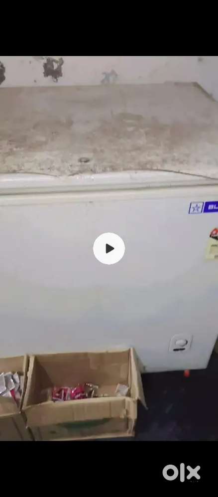 Best deep frizer of blue star of 500 litre