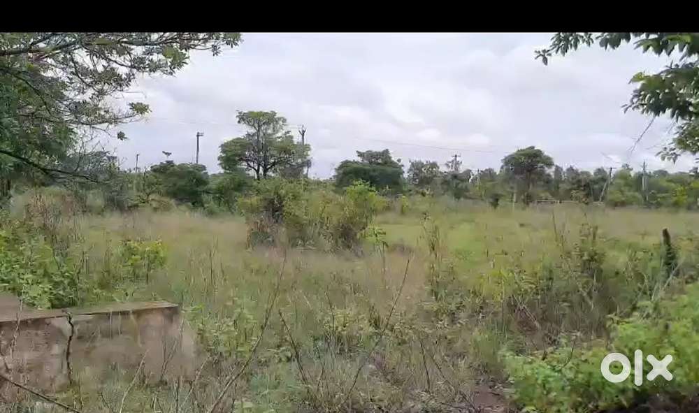 Akkivaram bhogapuram