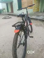 Bomber blast 26 inch (just 7days old)