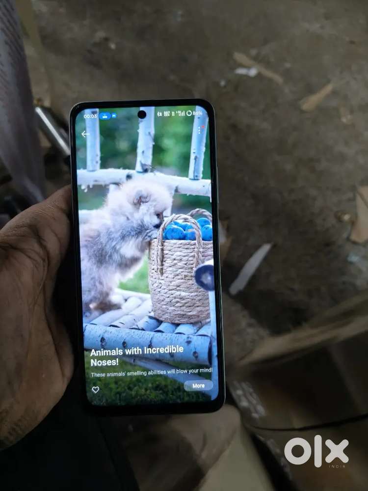 Oppo k12 5g