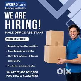 Wanted Office Assistant (Male)