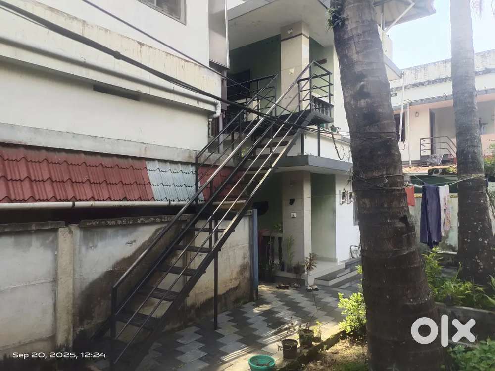 2 Bhk House Ground Floor For Rent In Vyttila Thykoodam