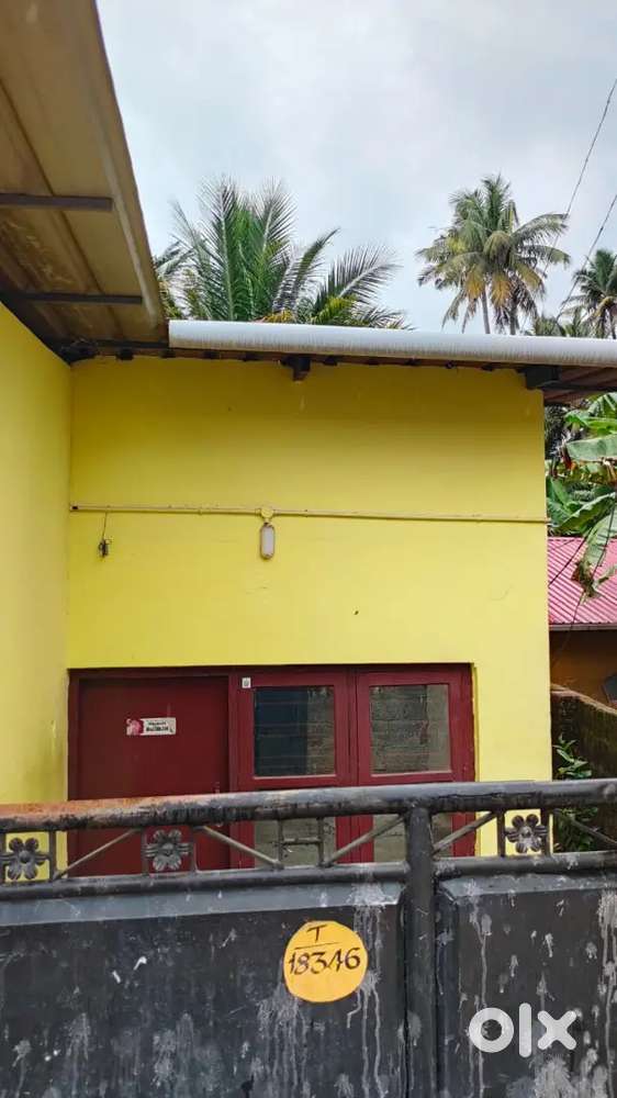 House  for rent