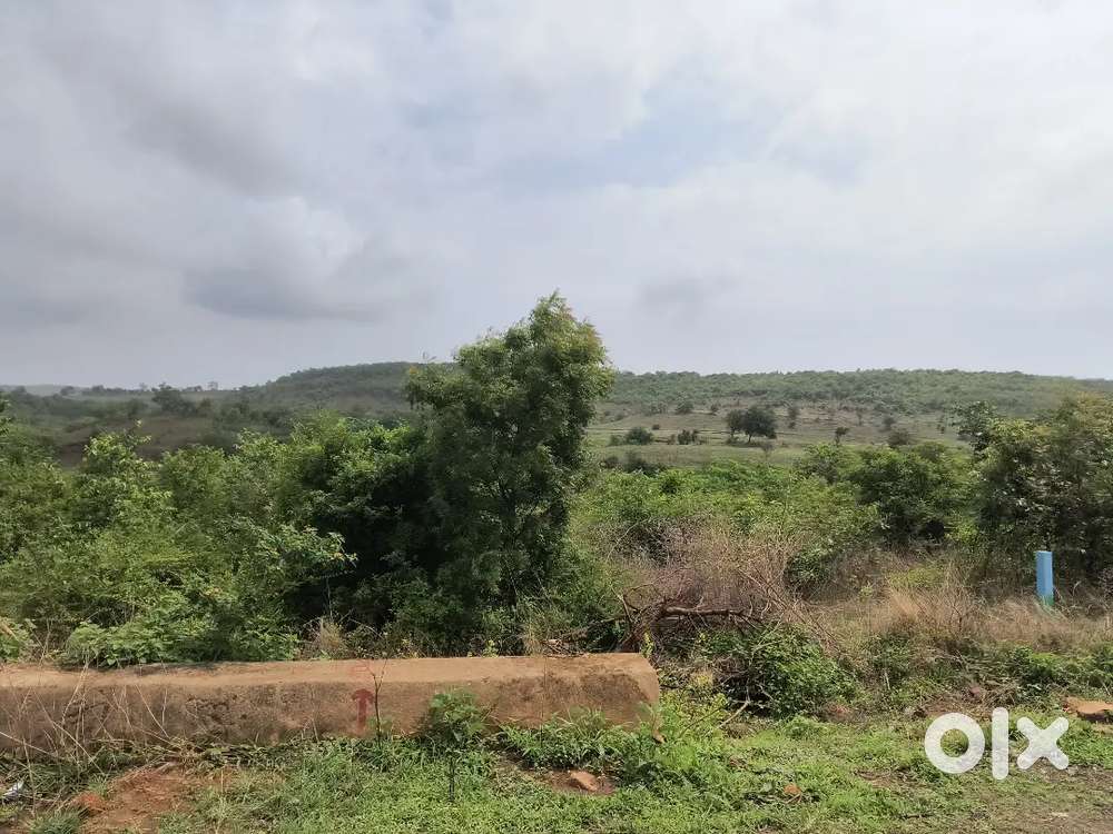 Generator sound proof