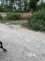 Best cycle all part work only front disc not work 1 year old cycle