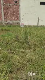 Good Area Proper Drainage system