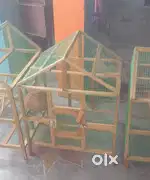 Love birds cages